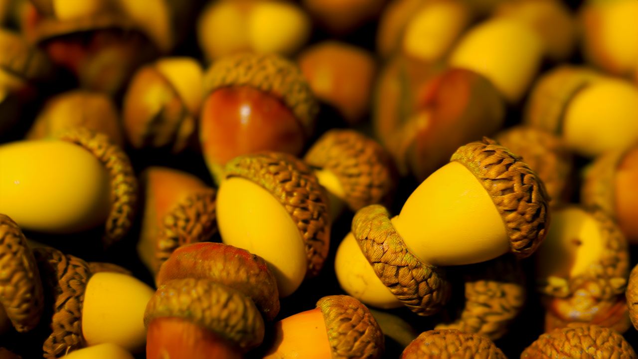 金橡木颜色的图片